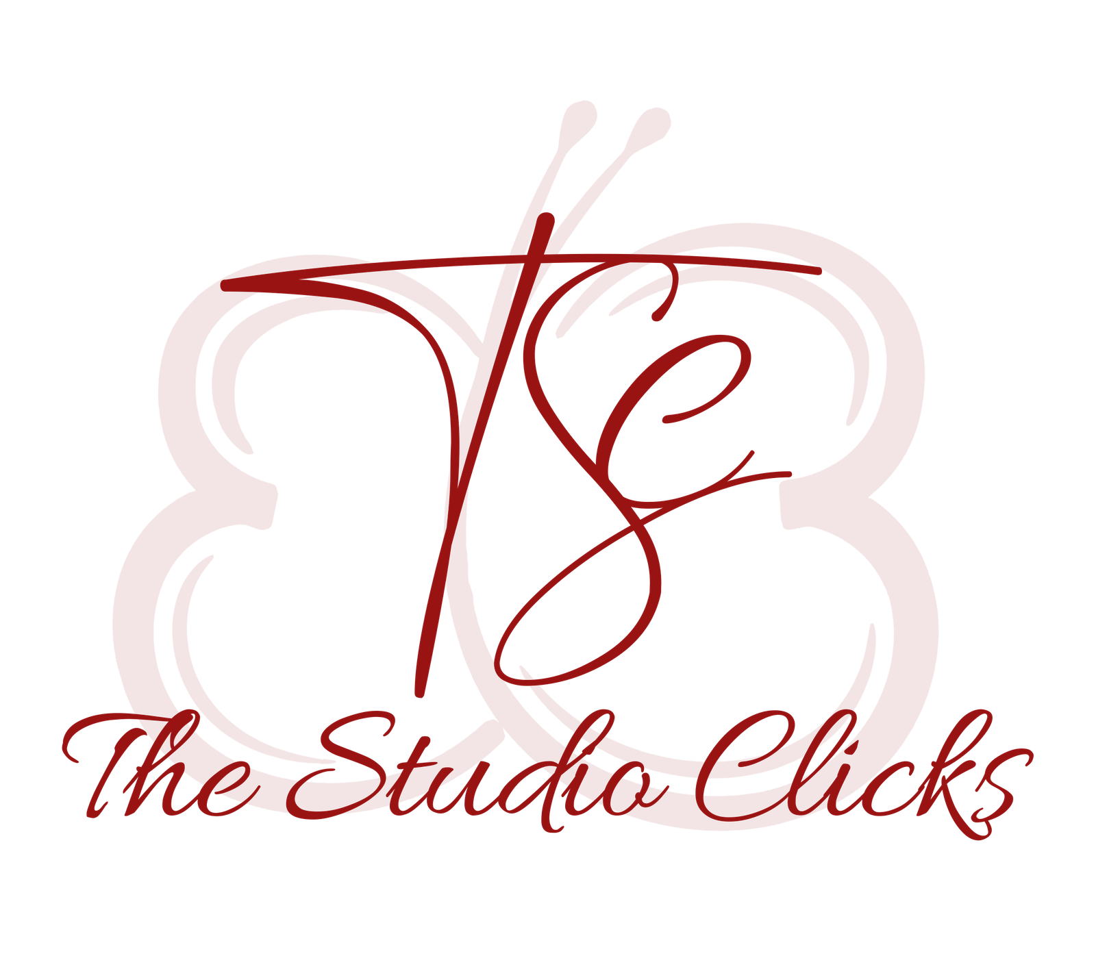 The Studio Clicks logo